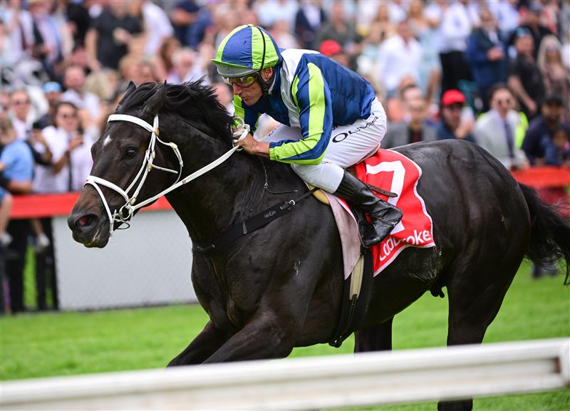CRANBOURNE, AUSTRALIA - NOVEMBER 12: Damien Oliver riding Brayden Star winning Race 6, the Freeway Ford Shooting Star, during Melbourne Racing on Cranbourne Cup Day at Cranbourne Racecourse on November 12, 2022 in Cranbourne, Australia. (Photo by Vince Caligiuri/Getty Images)