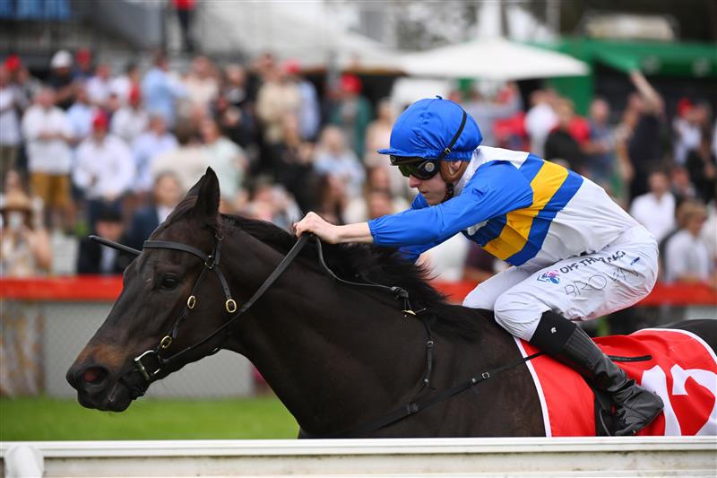 CRANBOURNE, AUSTRALIA - NOVEMBER 12: Ethan Brown riding Jigsaw winning Race 8, the Procon Developments Apache Cat Classic, during Melbourne Racing on Cranbourne Cup Day at Cranbourne Racecourse on November 12, 2022 in Cranbourne, Australia. (Photo by Vince Caligiuri/Getty Images)