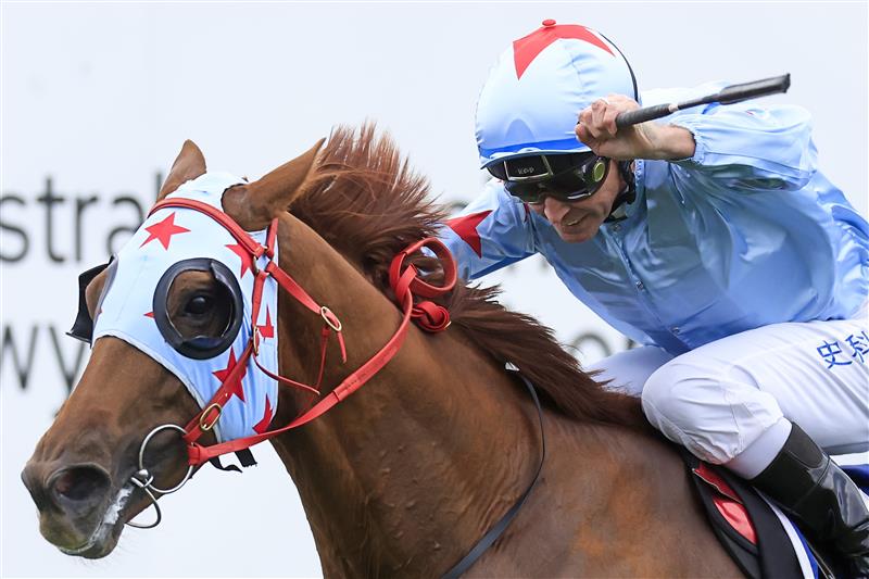 NEWCASTLE, AUSTRALIA - NOVEMBER 12: Glyn Schofield on Coal Crusher wins race 9 the Karaka 2023 Bm88 Handicap during Racing at Newcastle Racecourse on November 12, 2022 in Newcastle, Australia. (Photo by Mark Evans/Getty Images)