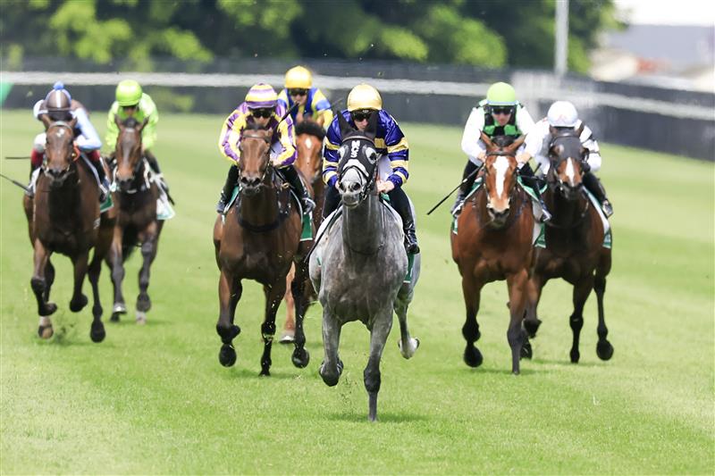 NEWCASTLE, AUSTRALIA - NOVEMBER 12: James McDonald on Floating wins race 5 the Gavelhouse.com Midway Bm72 Handicap during Racing at Newcastle Racecourse on November 12, 2022 in Newcastle, Australia. (Photo by Mark Evans/Getty Images)