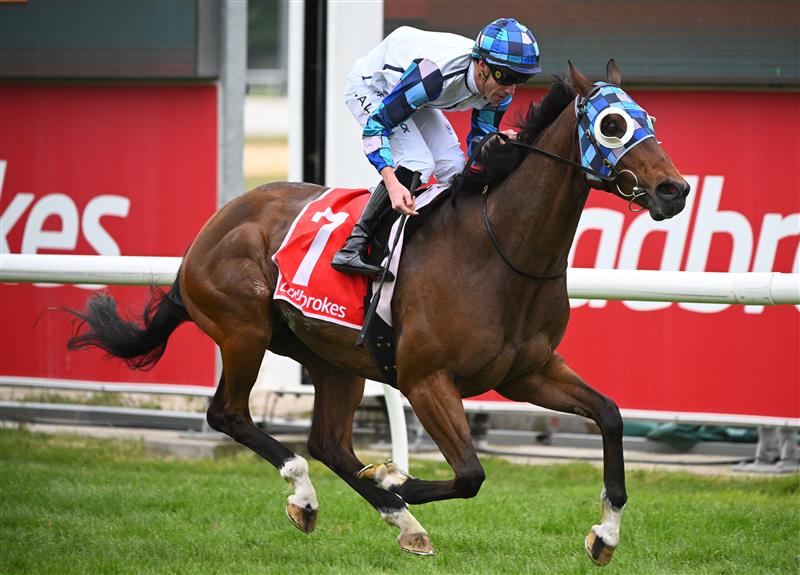 CRANBOURNE, AUSTRALIA - NOVEMBER 12: John Allen riding Pal D