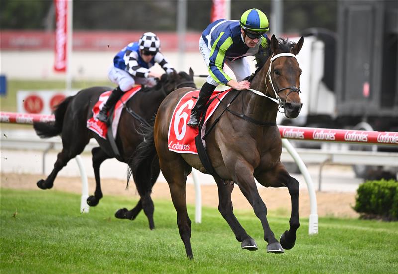 CRANBOURNE, AUSTRALIA - NOVEMBER 12: Mark Zahra riding Uncle Bryn winning Race 7, the Ladbrokes Cranbourne Cup, during Melbourne Racing on Cranbourne Cup Day at Cranbourne Racecourse on November 12, 2022 in Cranbourne, Australia. (Photo by Vince Caligiuri/Getty Images)