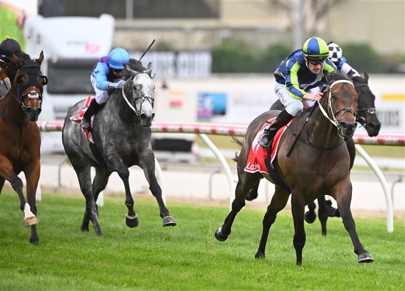 CRANBOURNE, AUSTRALIA - NOVEMBER 12: Mark Zahra riding Uncle Bryn winning Race 7, the Ladbrokes Cranbourne Cup, during Melbourne Racing on Cranbourne Cup Day at Cranbourne Racecourse on November 12, 2022 in Cranbourne, Australia. (Photo by Vince Caligiuri/Getty Images)