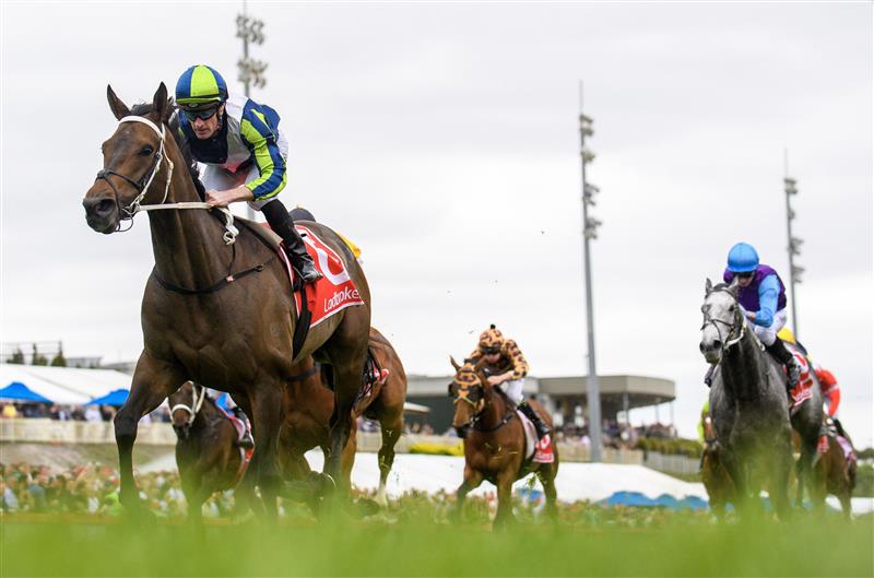 CRANBOURNE, AUSTRALIA - NOVEMBER 12: Mark Zahra riding Uncle Bryn winning Race 7, the Ladbrokes Cranbourne Cup, during Melbourne Racing on Cranbourne Cup Day at Cranbourne Racecourse on November 12, 2022 in Cranbourne, Australia. (Photo by Vince Caligiuri/Getty Images)