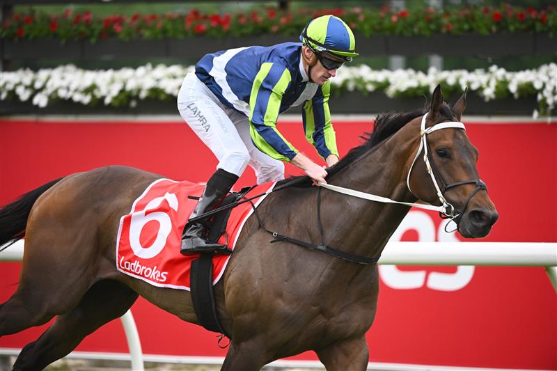 CRANBOURNE, AUSTRALIA - NOVEMBER 12: Mark Zahra riding Uncle Bryn winning Race 7, the Ladbrokes Cranbourne Cup, during Melbourne Racing on Cranbourne Cup Day at Cranbourne Racecourse on November 12, 2022 in Cranbourne, Australia. (Photo by Vince Caligiuri/Getty Images)