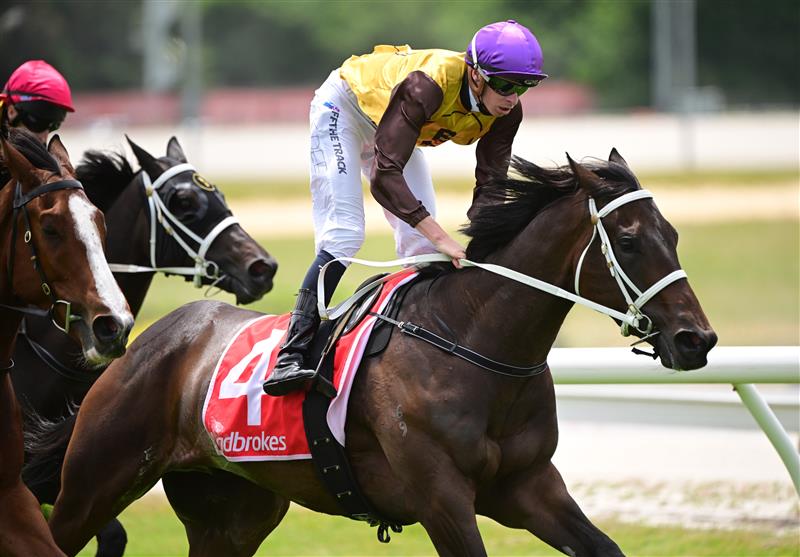 CRANBOURNE, AUSTRALIA - NOVEMBER 12: Michael Dee riding Serangoon winning Race 2, the Obrien Real Estate Cranbourne Classic, during Melbourne Racing on Cranbourne Cup Day at Cranbourne Racecourse on November 12, 2022 in Cranbourne, Australia. (Photo by Vince Caligiuri/Getty Images)