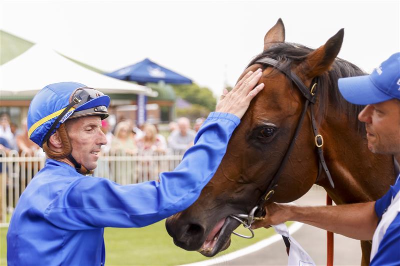 NEWCASTLE, AUSTRALIA - NOVEMBER 12: Nash Rawiller pats Vilana after winning race 8 The Hunter during Racing at Newcastle Racecourse on November 12, 2022 in Newcastle, Australia. (Photo by Mark Evans/Getty Images)