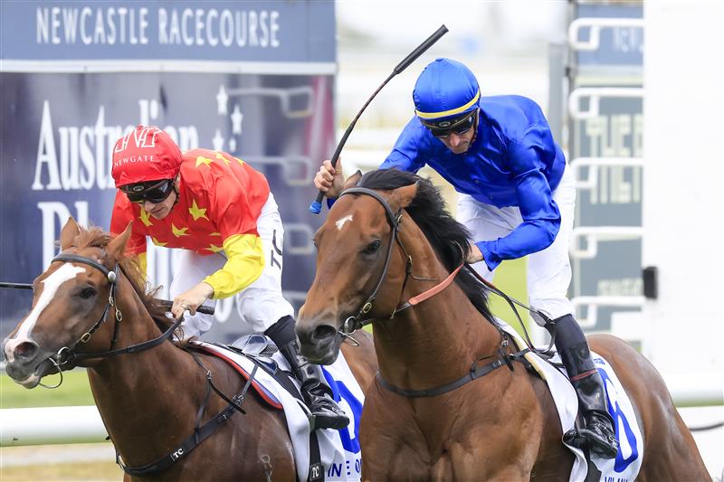 NEWCASTLE, AUSTRALIA - NOVEMBER 12: Nash Rawiller (blue) on Vilana wins race 8 The Hunter during Racing at Newcastle Racecourse on November 12, 2022 in Newcastle, Australia. (Photo by Mark Evans/Getty Images)