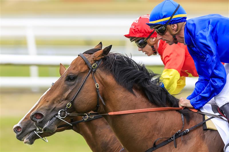 NEWCASTLE, AUSTRALIA - NOVEMBER 12: Nash Rawiller (blue) on Vilana wins race 8 The Hunter during Racing at Newcastle Racecourse on November 12, 2022 in Newcastle, Australia. (Photo by Mark Evans/Getty Images)