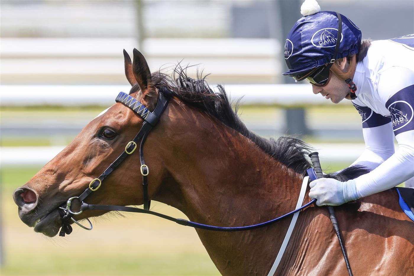 NEWCASTLE, AUSTRALIA - NOVEMBER 12: Tyler Schiller on King Frankel wins race 4 the Nzb Insurance The Beauford during Racing at Newcastle Racecourse on November 12, 2022 in Newcastle, Australia. (Photo by Mark Evans/Getty Images)