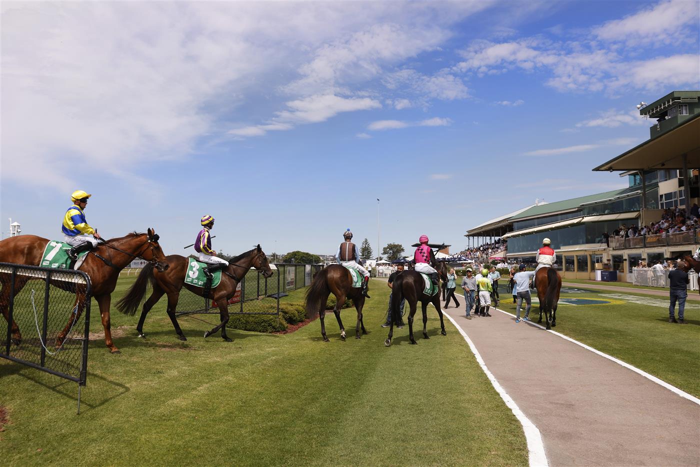 NEWCASTLE, AUSTRALIA - NOVEMBER 12: Horses return after a race during Sydney Racing at Newcastle Racecourse on November 12, 2022 in Newcastle, Australia. (Photo by Mark Evans/Getty Images)