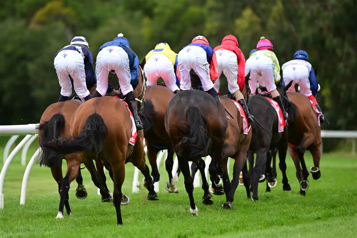 CRANBOURNE, AUSTRALIA - NOVEMBER 12: Jockey's rounding the turn during Melbourne Racing on Cranbourne Cup Day at Cranbourne Racecourse on November 12, 2022 in Cranbourne, Australia. (Getty)