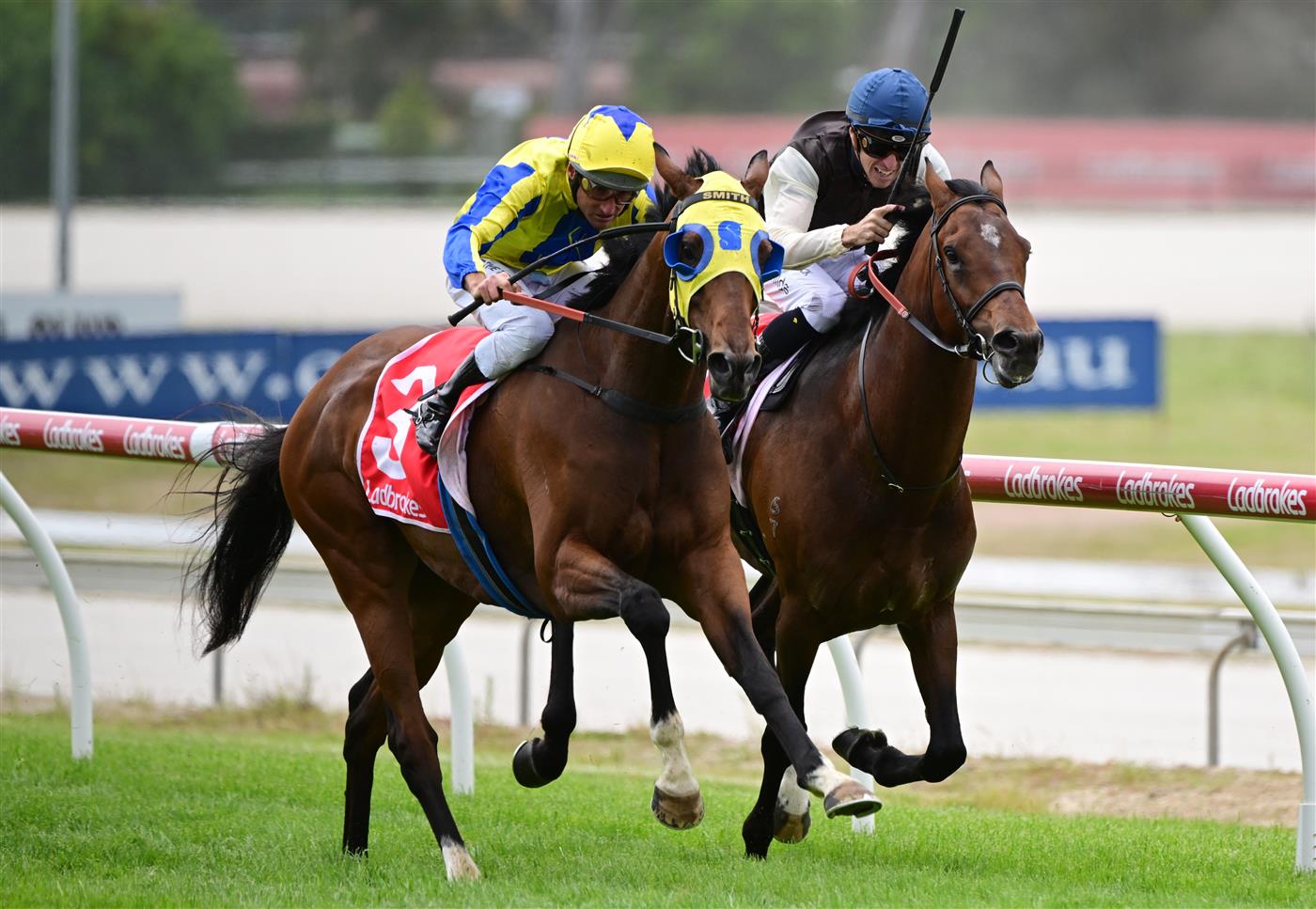 CRANBOURNE, AUSTRALIA - NOVEMBER 12: Damien Oliver riding Kissinger winning Race 3, the Reed Cranes & Transport Marathon, during Melbourne Racing on Cranbourne Cup Day at Cranbourne Racecourse on November 12, 2022 in Cranbourne, Australia. (Photo by Vince Caligiuri/Getty Images)