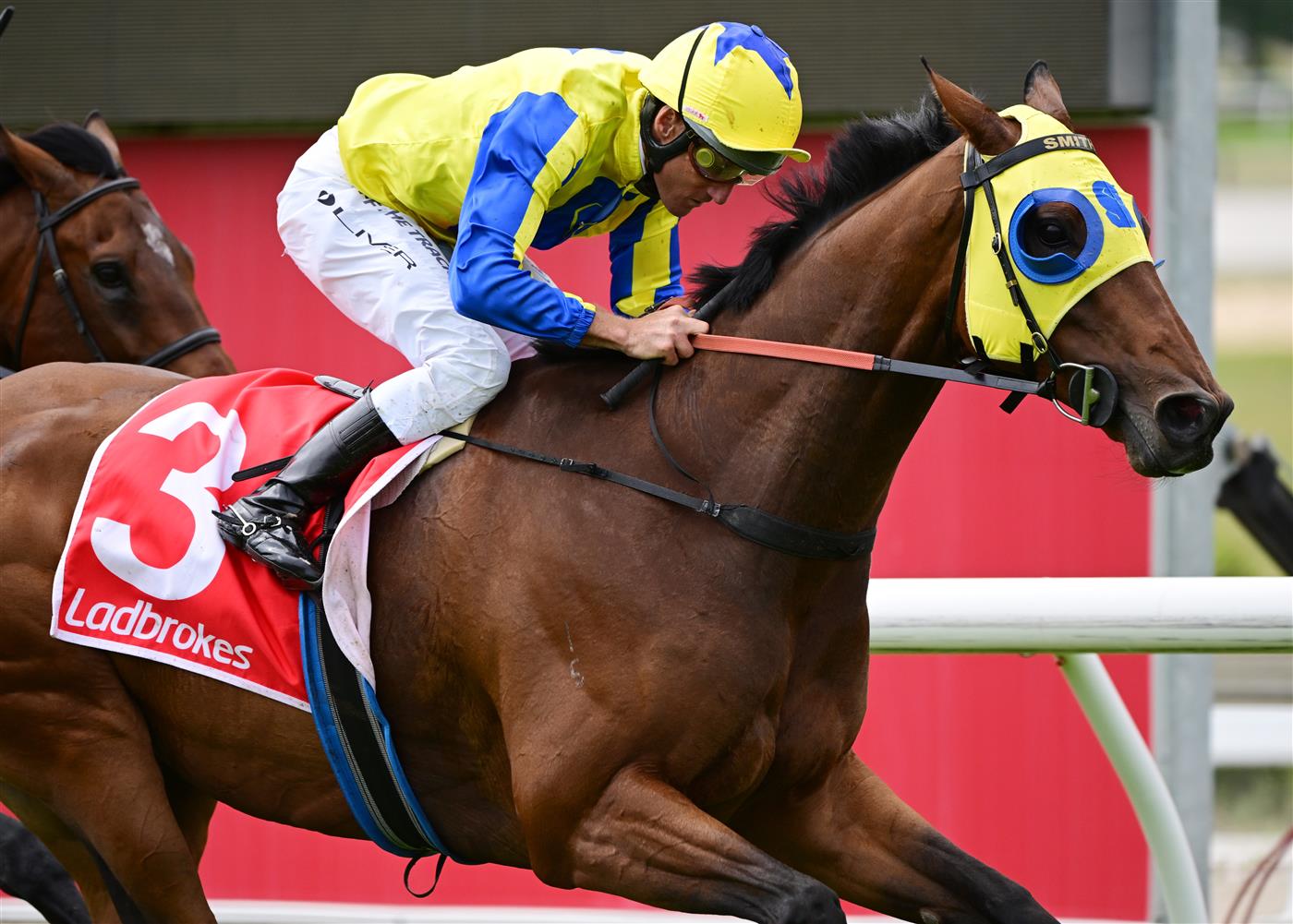 CRANBOURNE, AUSTRALIA - NOVEMBER 12: Damien Oliver riding Kissinger winning Race 3, the Reed Cranes & Transport Marathon, during Melbourne Racing on Cranbourne Cup Day at Cranbourne Racecourse on November 12, 2022 in Cranbourne, Australia. (Photo by Vince Caligiuri/Getty Images)
