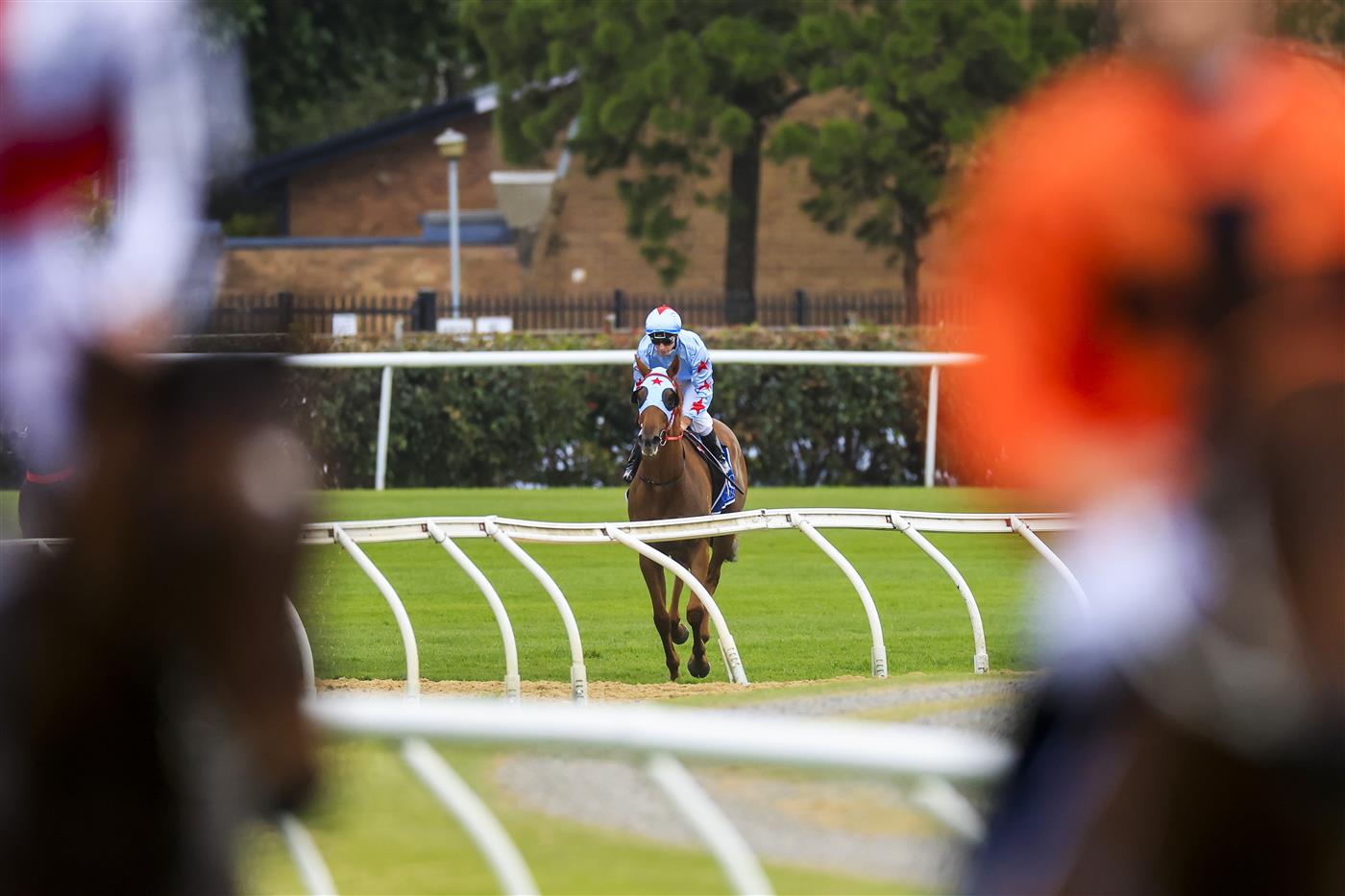 NEWCASTLE, AUSTRALIA - NOVEMBER 12: Glyn Schofield on Coal Crusher returns to scale after winning race 9 the Karaka 2023 Bm88 Handicap during Racing at Newcastle Racecourse on November 12, 2022 in Newcastle, Australia. (Photo by Mark Evans/Getty Images)