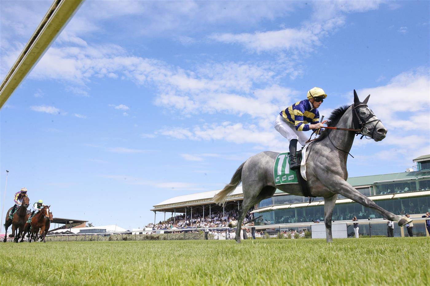 NEWCASTLE, AUSTRALIA - NOVEMBER 12: James McDonald on Floating wins race 5 the Gavelhouse.com Midway Benchmark 72 Handicap during Sydney Racing at  on November 12, 2022 in Newcastle, Australia. (Photo by Mark Evans/Getty Images)