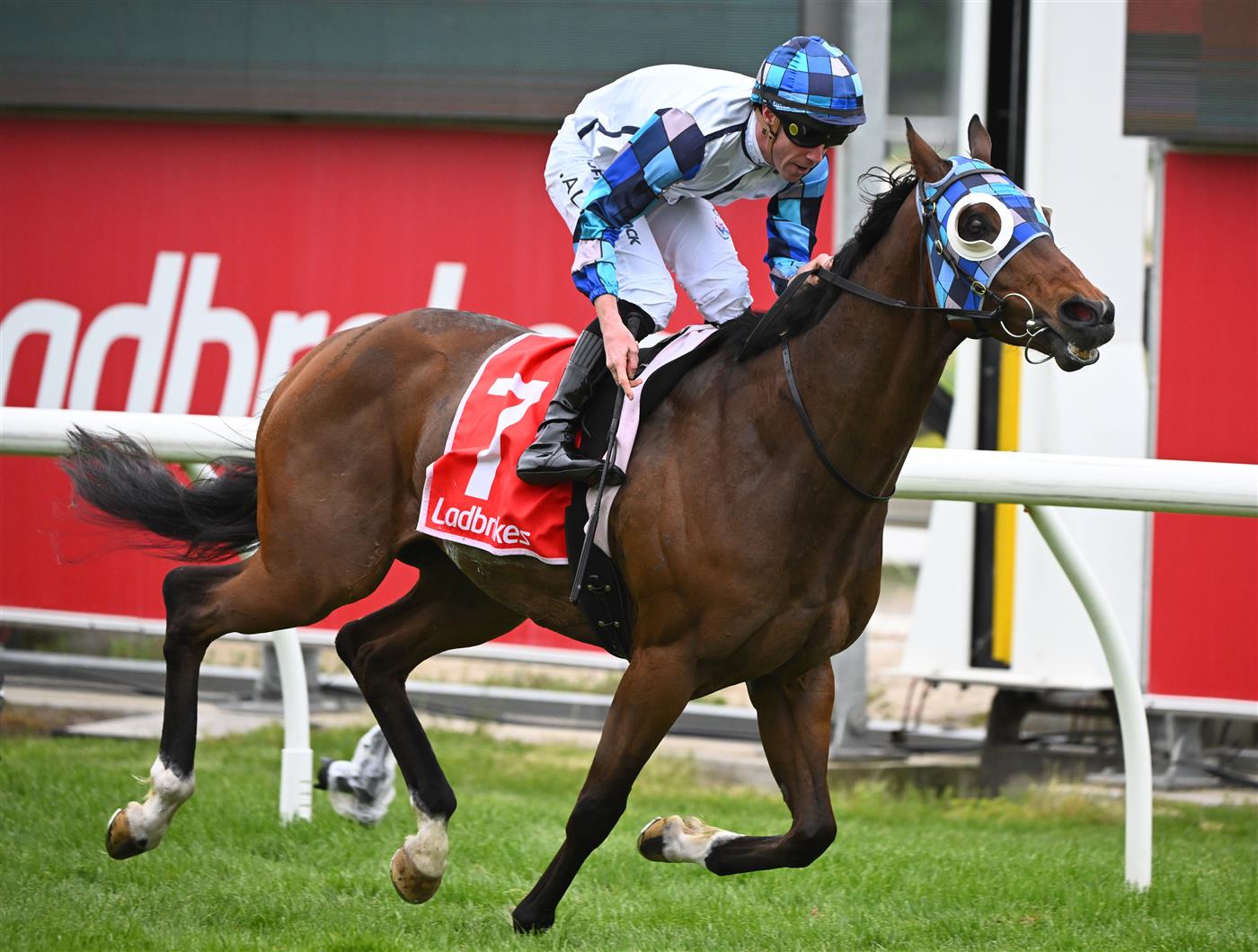 CRANBOURNE, AUSTRALIA - NOVEMBER 12: John Allen riding Pal D