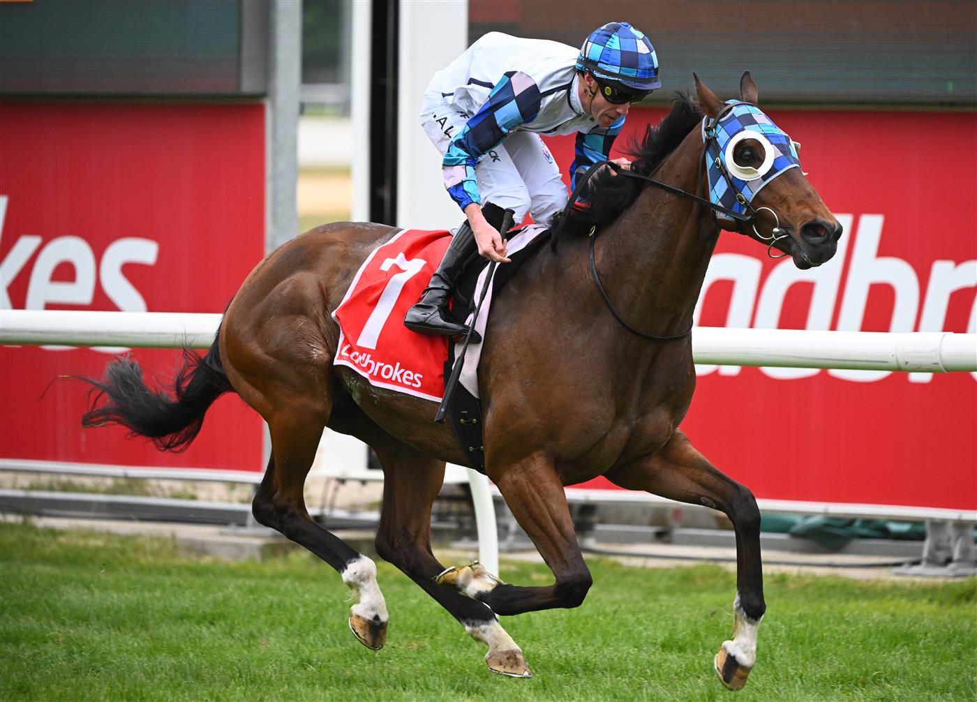 CRANBOURNE, AUSTRALIA - NOVEMBER 12: John Allen riding Pal D