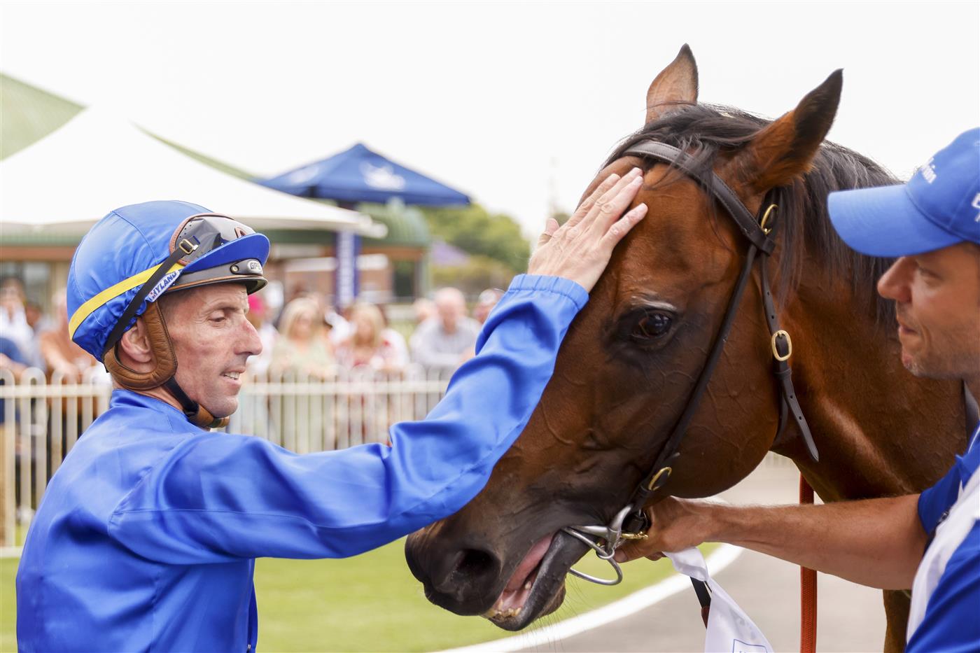 NEWCASTLE, AUSTRALIA - NOVEMBER 12: Nash Rawiller pats Vilana after winning race 8 The Hunter during Racing at Newcastle Racecourse on November 12, 2022 in Newcastle, Australia. (Photo by Mark Evans/Getty Images)
