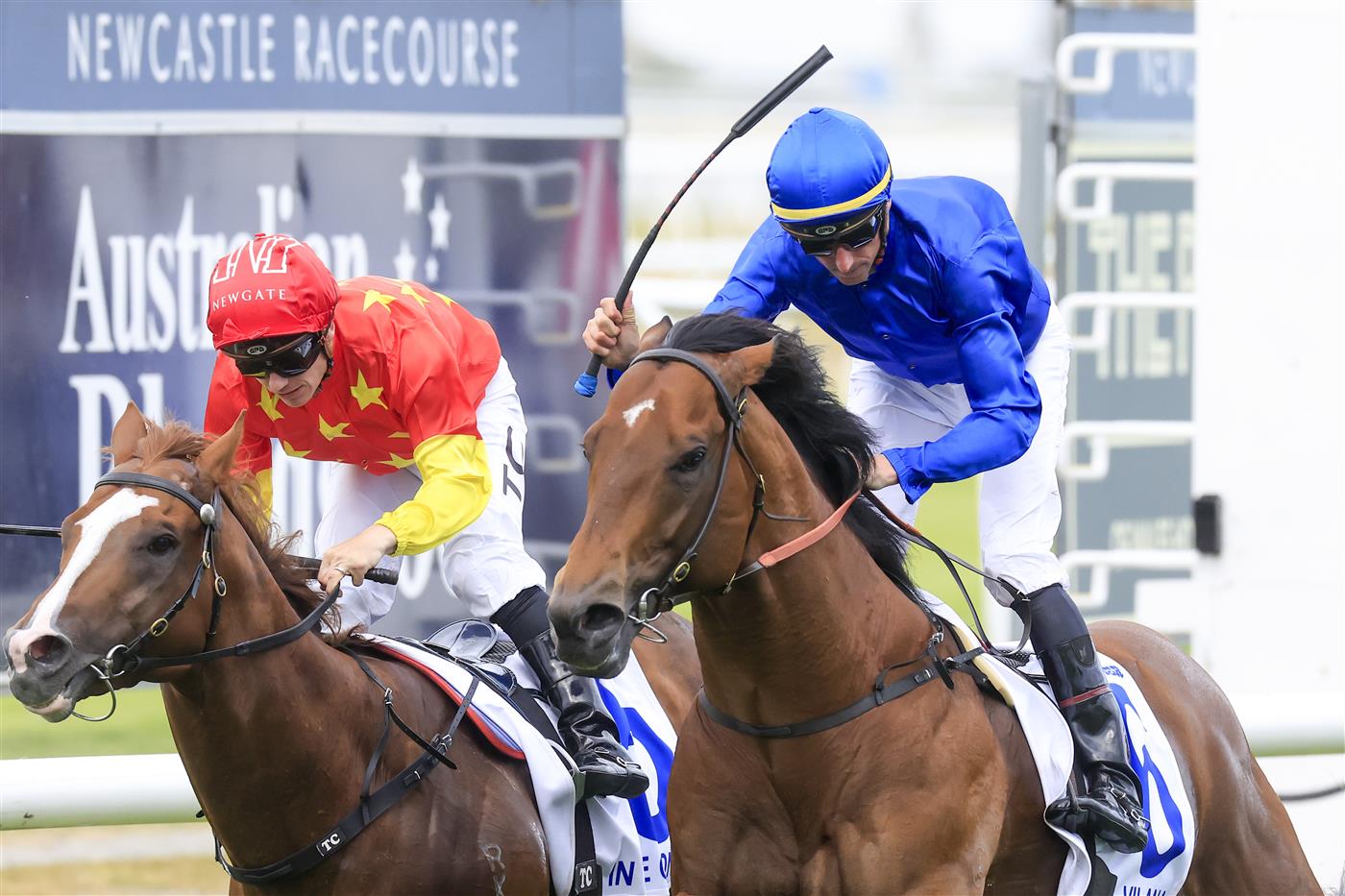 NEWCASTLE, AUSTRALIA - NOVEMBER 12: Nash Rawiller (blue) on Vilana wins race 8 The Hunter during Racing at Newcastle Racecourse on November 12, 2022 in Newcastle, Australia. (Photo by Mark Evans/Getty Images)
