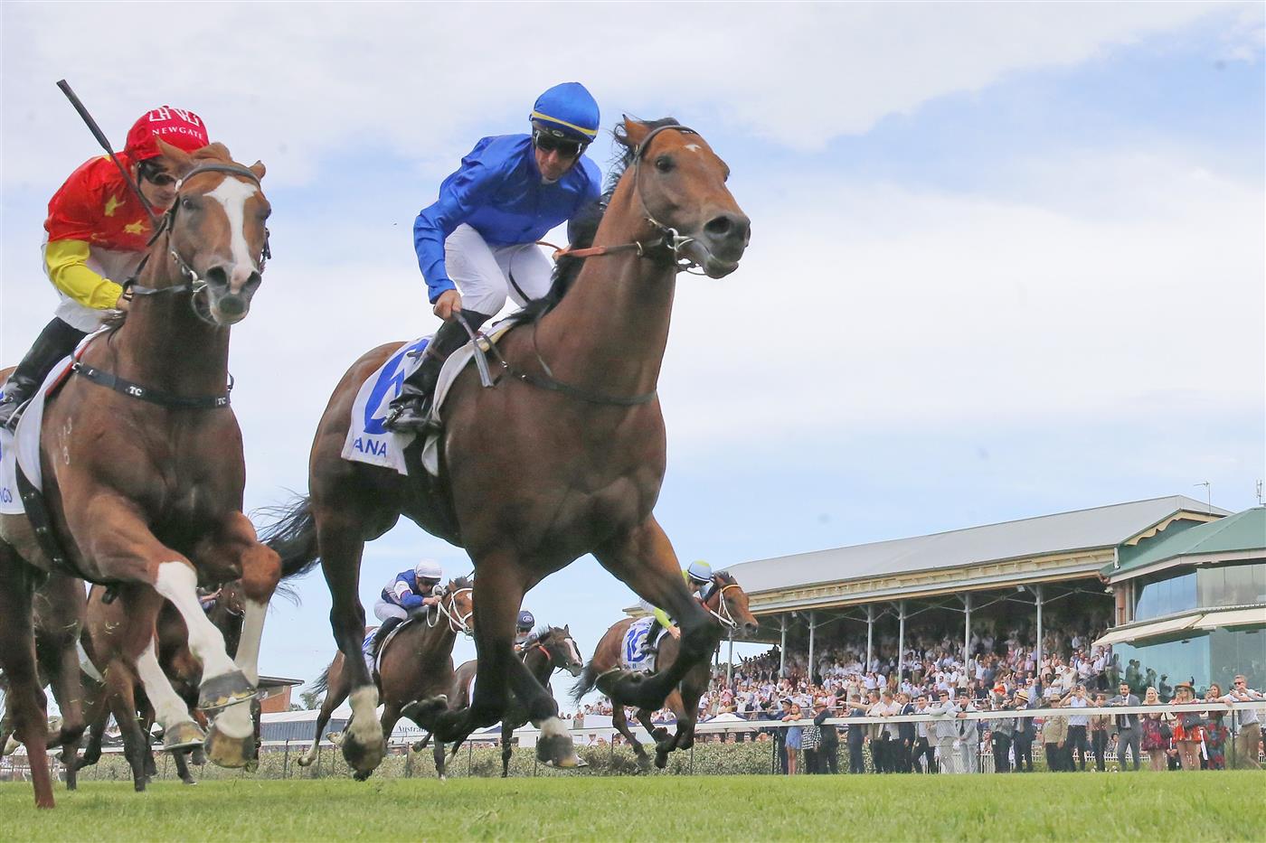 NEWCASTLE, AUSTRALIA - NOVEMBER 12: Nash Rawiller on Vilana wins race 8 the Hunter during Sydney Racing at  on November 12, 2022 in Newcastle, Australia. (Photo by Mark Evans/Getty Images)