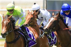 NEWCASTLE, AUSTRALIA - NOVEMBER 12: Jay Ford (lime colours) on Fire Lane wins race 1 the Nzb Airfreight Max Lees Classic during Racing at Newcastle Racecourse on November 12, 2022 in Newcastle, Australia. (Photo by Mark Evans/Getty Images)