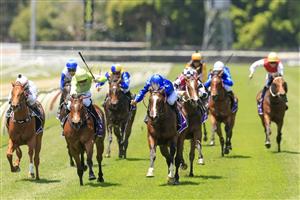 NEWCASTLE, AUSTRALIA - NOVEMBER 12: Jay Ford (lime colours) on Fire Lane wins race 1 the Nzb Airfreight Max Lees Classic during Racing at Newcastle Racecourse on November 12, 2022 in Newcastle, Australia. (Photo by Mark Evans/Getty Images)