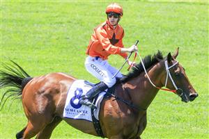 NEWCASTLE, AUSTRALIA - NOVEMBER 12: Jason Collett on Ten Bells returns to scale after winning race 3 the Doubletree By Hilton Karaka F&m Bm78 during Racing at Newcastle Racecourse on November 12, 2022 in Newcastle, Australia. (Photo by Mark Evans/Getty Images)