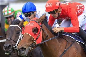 NEWCASTLE, AUSTRALIA - NOVEMBER 12: Sam Clipperton (red) on Pierossa wins race 7 New Zealand Bloodstock Njc Spring Stakes during Racing at Newcastle Racecourse on November 12, 2022 in Newcastle, Australia. (Photo by Mark Evans/Getty Images)
