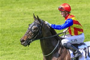 NEWCASTLE, AUSTRALIA - NOVEMBER 12: Tyler Schiller on Rondino returns to scale after winning race 6 the Alf Kneebone Trans-tasman Trophy during Racing at Newcastle Racecourse on November 12, 2022 in Newcastle, Australia. (Photo by Mark Evans/Getty Images)