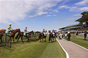 NEWCASTLE, AUSTRALIA - NOVEMBER 12: Horses return after a race during Sydney Racing at Newcastle Racecourse on November 12, 2022 in Newcastle, Australia. (Photo by Mark Evans/Getty Images)