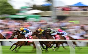 CRANBOURNE, AUSTRALIA - NOVEMBER 12: General view of Race 5, the Rosemont Stud F&m Pendant, during Melbourne Racing on Cranbourne Cup Day at Cranbourne Racecourse on November 12, 2022 in Cranbourne, Australia. (Photo by Vince Caligiuri/Getty Images)