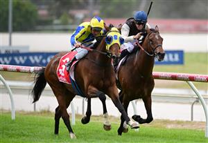 CRANBOURNE, AUSTRALIA - NOVEMBER 12: Damien Oliver riding Kissinger winning Race 3, the Reed Cranes & Transport Marathon, during Melbourne Racing on Cranbourne Cup Day at Cranbourne Racecourse on November 12, 2022 in Cranbourne, Australia. (Photo by Vince Caligiuri/Getty Images)
