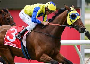 CRANBOURNE, AUSTRALIA - NOVEMBER 12: Damien Oliver riding Kissinger winning Race 3, the Reed Cranes & Transport Marathon, during Melbourne Racing on Cranbourne Cup Day at Cranbourne Racecourse on November 12, 2022 in Cranbourne, Australia. (Photo by Vince Caligiuri/Getty Images)