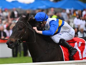 CRANBOURNE, AUSTRALIA - NOVEMBER 12: Ethan Brown riding Jigsaw winning Race 8, the Procon Developments Apache Cat Classic, during Melbourne Racing on Cranbourne Cup Day at Cranbourne Racecourse on November 12, 2022 in Cranbourne, Australia. (Photo by Vince Caligiuri/Getty Images)