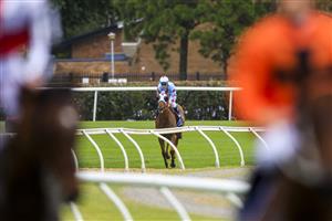 NEWCASTLE, AUSTRALIA - NOVEMBER 12: Glyn Schofield on Coal Crusher returns to scale after winning race 9 the Karaka 2023 Bm88 Handicap during Racing at Newcastle Racecourse on November 12, 2022 in Newcastle, Australia. (Photo by Mark Evans/Getty Images)