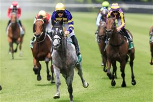 NEWCASTLE, AUSTRALIA - NOVEMBER 12: James McDonald on Floating wins race 5 the Gavelhouse.com Midway Bm72 Handicap during Racing at Newcastle Racecourse on November 12, 2022 in Newcastle, Australia. (Photo by Mark Evans/Getty Images)