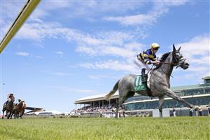 NEWCASTLE, AUSTRALIA - NOVEMBER 12: James McDonald on Floating wins race 5 the Gavelhouse.com Midway Benchmark 72 Handicap during Sydney Racing at  on November 12, 2022 in Newcastle, Australia. (Photo by Mark Evans/Getty Images)
