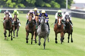NEWCASTLE, AUSTRALIA - NOVEMBER 12: James McDonald on Floating wins race 5 the Gavelhouse.com Midway Bm72 Handicap during Racing at Newcastle Racecourse on November 12, 2022 in Newcastle, Australia. (Photo by Mark Evans/Getty Images)