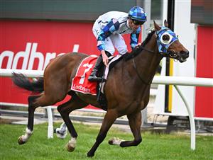 CRANBOURNE, AUSTRALIA - NOVEMBER 12: John Allen riding Pal D