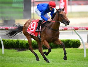 CRANBOURNE, AUSTRALIA - NOVEMBER 12: Mark Zahra riding Remedies winning Race 1, the Rhino The Wrecker 2yo Plate,  during Melbourne Racing on Cranbourne Cup Day at Cranbourne Racecourse on November 12, 2022 in Cranbourne, Australia. (Photo by Vince Caligiuri/Getty Images)