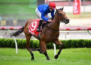 CRANBOURNE, AUSTRALIA - NOVEMBER 12: Mark Zahra riding Remedies winning Race 1, the Rhino The Wrecker 2yo Plate,  during Melbourne Racing on Cranbourne Cup Day at Cranbourne Racecourse on November 12, 2022 in Cranbourne, Australia. (Photo by Vince Caligiuri/Getty Images)
