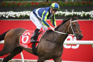 CRANBOURNE, AUSTRALIA - NOVEMBER 12: Mark Zahra riding Uncle Bryn winning Race 7, the Ladbrokes Cranbourne Cup, during Melbourne Racing on Cranbourne Cup Day at Cranbourne Racecourse on November 12, 2022 in Cranbourne, Australia. (Photo by Vince Caligiuri/Getty Images)