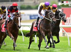 CRANBOURNE, AUSTRALIA - NOVEMBER 12: Michael Dee riding Serangoon winning Race 2, the Obrien Real Estate Cranbourne Classic, during Melbourne Racing on Cranbourne Cup Day at Cranbourne Racecourse on November 12, 2022 in Cranbourne, Australia. (Photo by Vince Caligiuri/Getty Images)