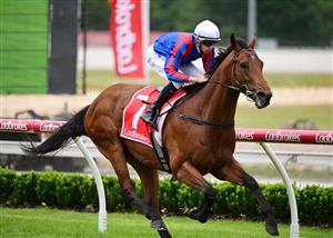CRANBOURNE, AUSTRALIA - NOVEMBER 12: Michael Dee riding Garza Blanca winning Race 4, the Frankston Sand Soil & Mini Mix 3yo, during Melbourne Racing on Cranbourne Cup Day at Cranbourne Racecourse on November 12, 2022 in Cranbourne, Australia. (Photo by Vince Caligiuri/Getty Images)