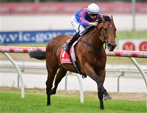 CRANBOURNE, AUSTRALIA - NOVEMBER 12: Michael Dee riding Garza Blanca winning Race 4, the Frankston Sand Soil & Mini Mix 3yo, during Melbourne Racing on Cranbourne Cup Day at Cranbourne Racecourse on November 12, 2022 in Cranbourne, Australia. (Photo by Vince Caligiuri/Getty Images)