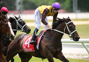 CRANBOURNE, AUSTRALIA - NOVEMBER 12: Michael Dee riding Serangoon winning Race 2, the Obrien Real Estate Cranbourne Classic, during Melbourne Racing on Cranbourne Cup Day at Cranbourne Racecourse on November 12, 2022 in Cranbourne, Australia. (Photo by Vince Caligiuri/Getty Images)