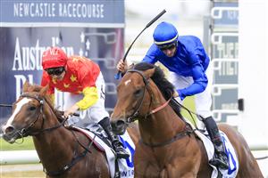 NEWCASTLE, AUSTRALIA - NOVEMBER 12: Nash Rawiller (blue) on Vilana wins race 8 The Hunter during Racing at Newcastle Racecourse on November 12, 2022 in Newcastle, Australia. (Photo by Mark Evans/Getty Images)