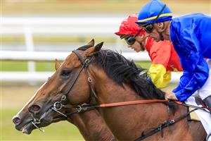 NEWCASTLE, AUSTRALIA - NOVEMBER 12: Nash Rawiller (blue) on Vilana wins race 8 The Hunter during Racing at Newcastle Racecourse on November 12, 2022 in Newcastle, Australia. (Photo by Mark Evans/Getty Images)