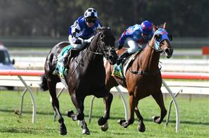 Railway Stakes Barriers